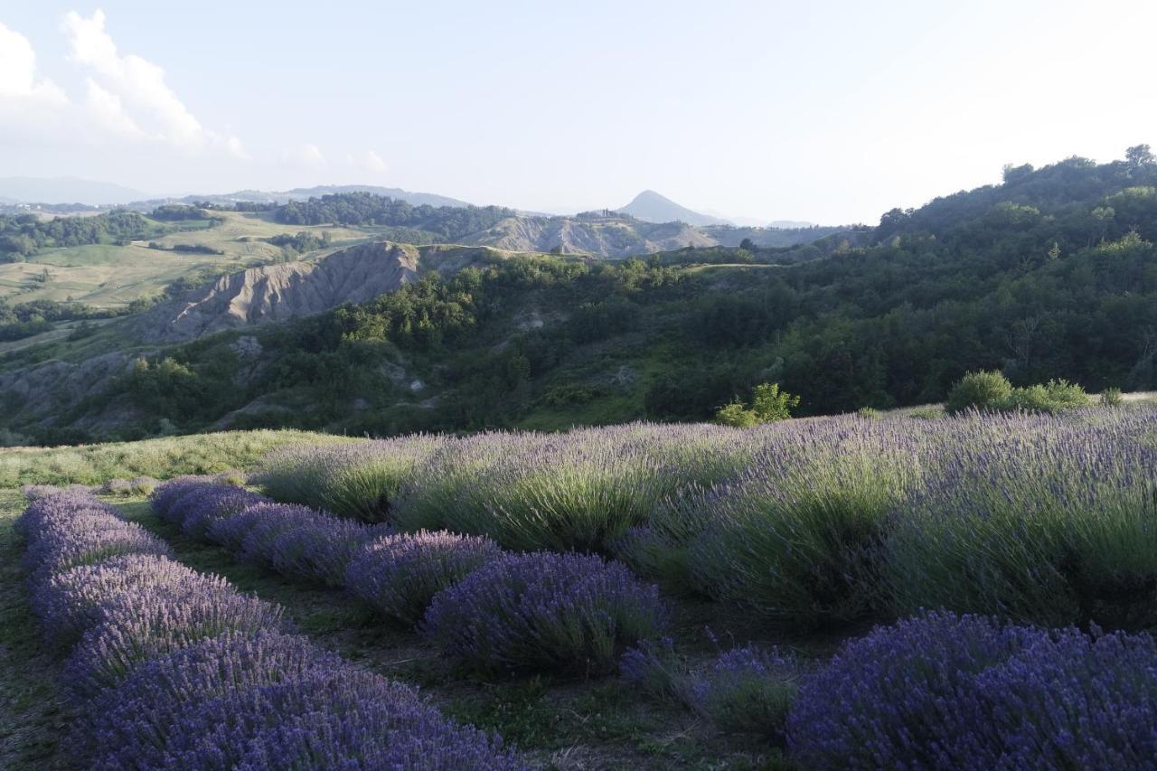 مبيت وإفطار Bebbio Casale Monte Valestra المظهر الخارجي الصورة