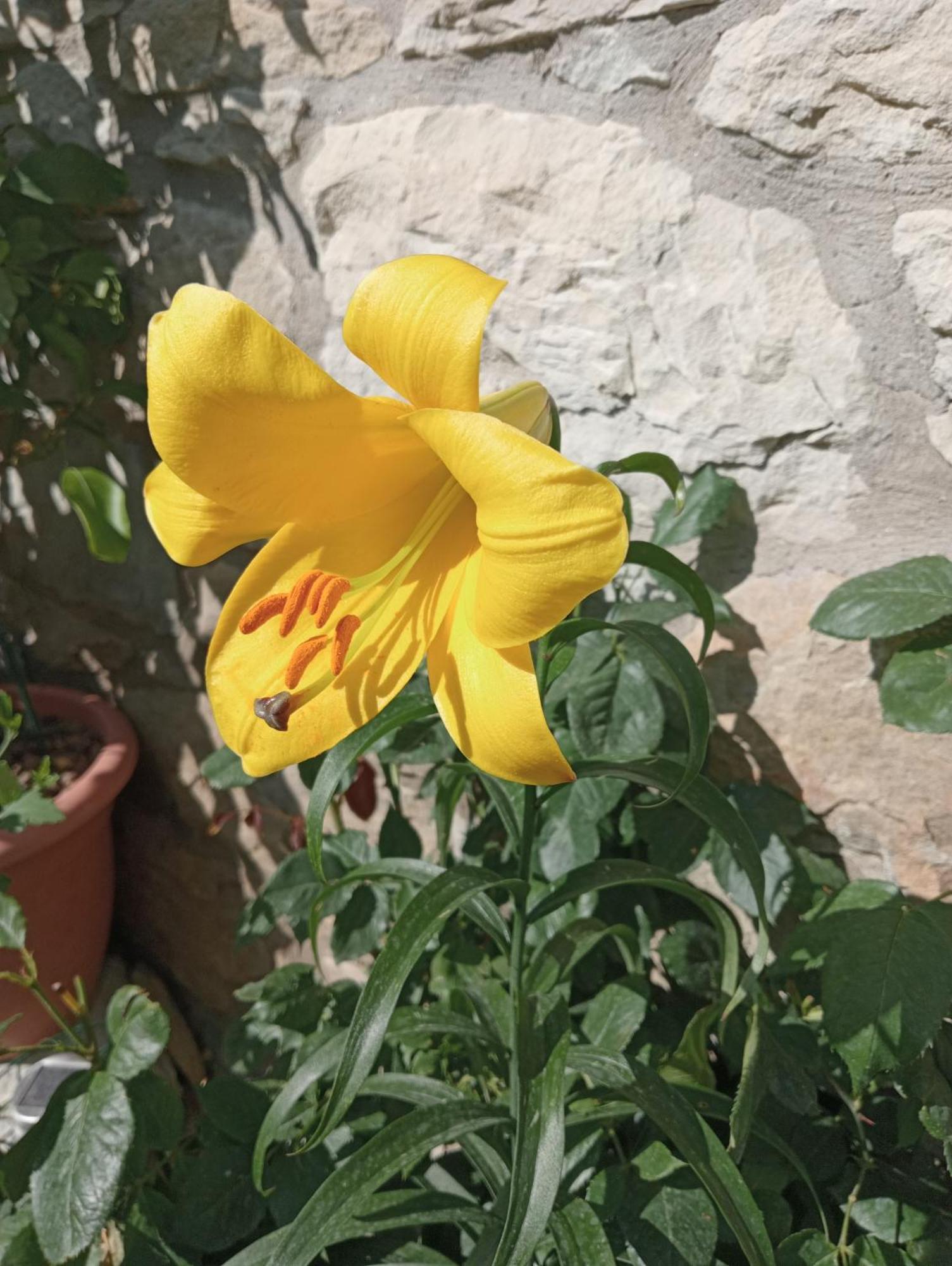 مبيت وإفطار Bebbio Casale Monte Valestra الغرفة الصورة